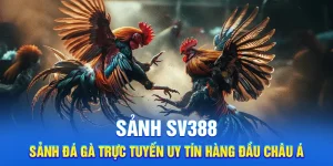 Sảnh SV388 - Sảnh Đá Gà Trực Tuyến Uy Tín Hàng Đầu Châu Á